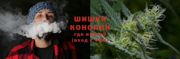 крисы Армянск