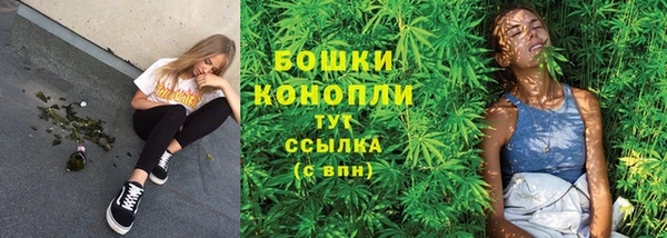 гидропоника Арсеньев
