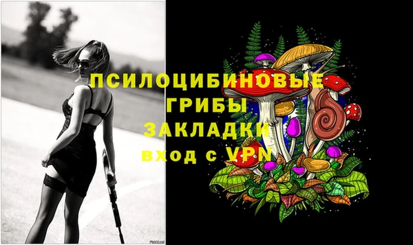 крисы Армянск