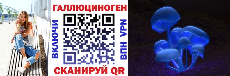 продажа наркотиков  Салаир  Галлюциногенные грибы Psilocybe 